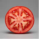 Tomato - Hybrid gallery image 2