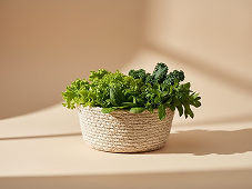 Leafy Greens